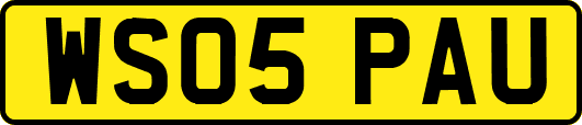 WS05PAU