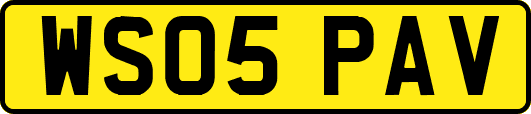 WS05PAV