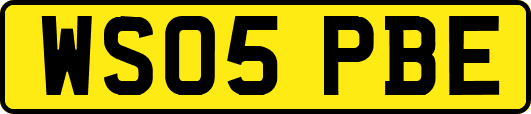 WS05PBE