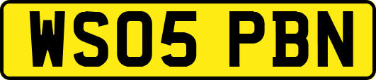 WS05PBN