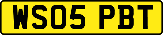 WS05PBT