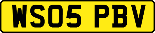 WS05PBV
