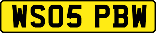 WS05PBW