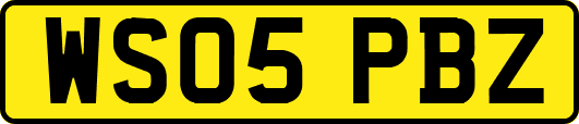 WS05PBZ