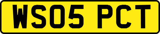 WS05PCT
