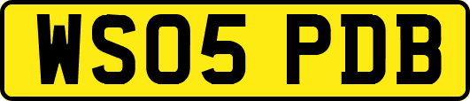 WS05PDB
