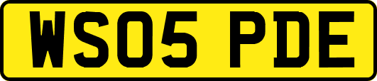 WS05PDE