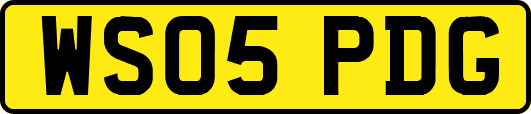 WS05PDG