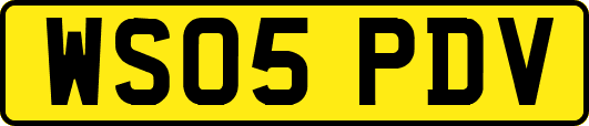 WS05PDV