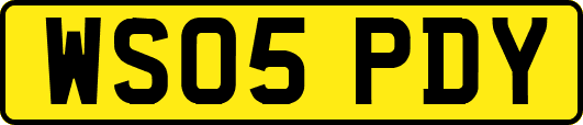 WS05PDY