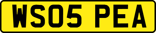 WS05PEA