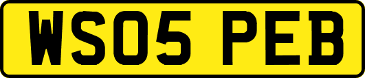 WS05PEB