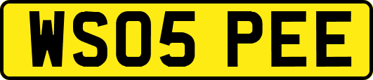 WS05PEE