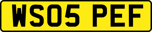 WS05PEF