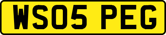 WS05PEG