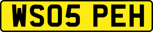 WS05PEH