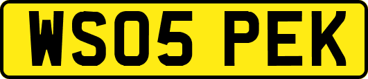 WS05PEK