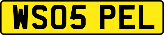 WS05PEL