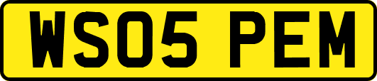 WS05PEM