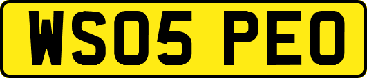 WS05PEO