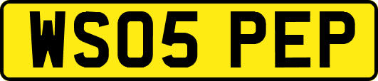 WS05PEP