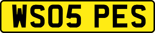 WS05PES