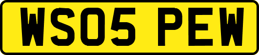 WS05PEW