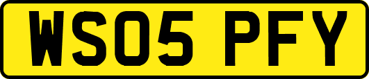 WS05PFY