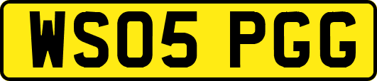 WS05PGG