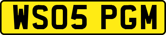 WS05PGM