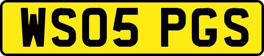 WS05PGS