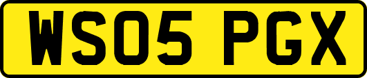 WS05PGX