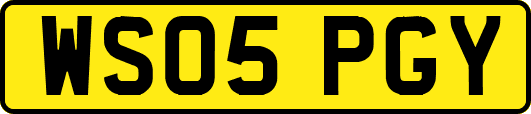 WS05PGY