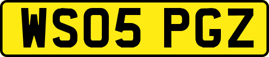 WS05PGZ