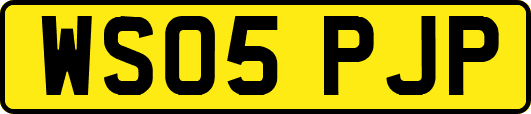 WS05PJP