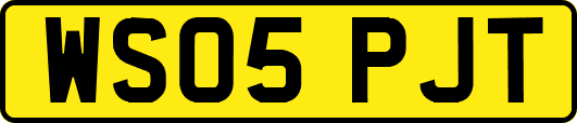 WS05PJT
