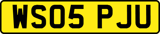 WS05PJU