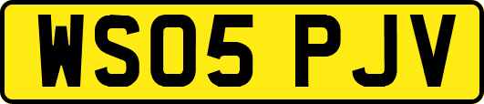 WS05PJV