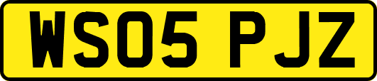 WS05PJZ