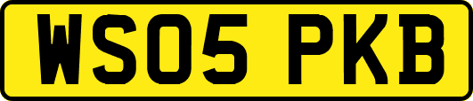 WS05PKB
