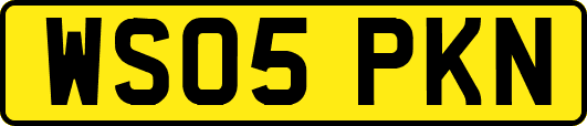 WS05PKN