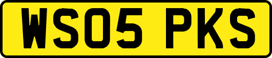 WS05PKS
