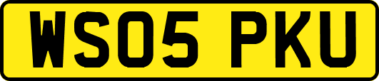 WS05PKU