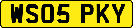 WS05PKY