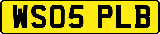WS05PLB