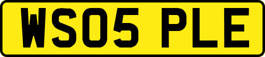 WS05PLE