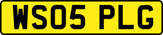 WS05PLG