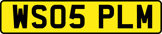WS05PLM