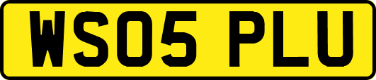 WS05PLU