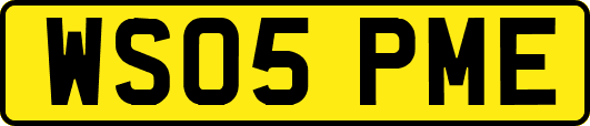 WS05PME